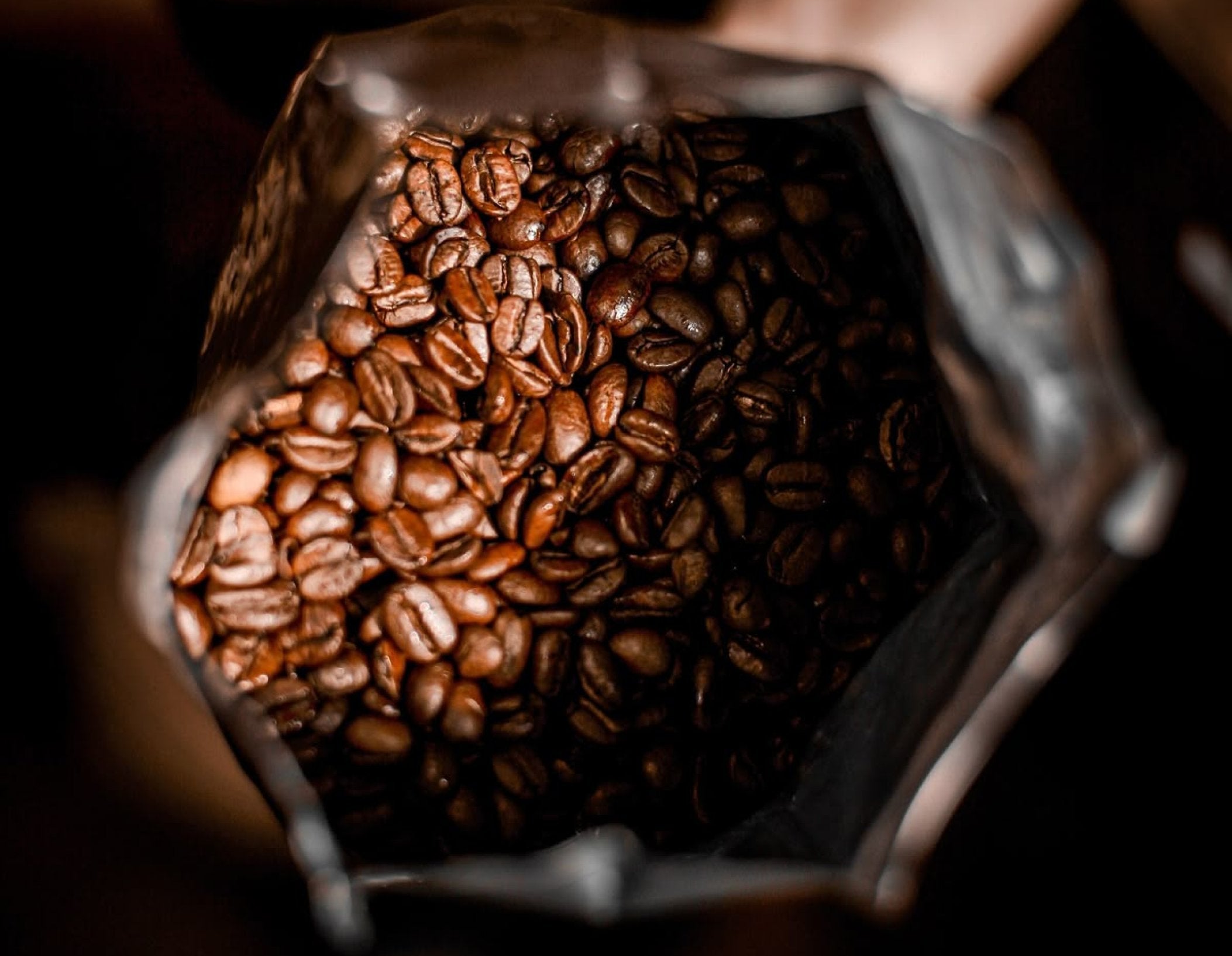 Specialty Coffee Beans